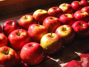Apples_2