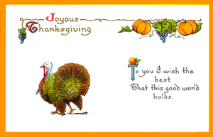 Thanksgivingpictures5