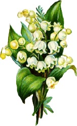 Lily-of-the-valley-arrangement