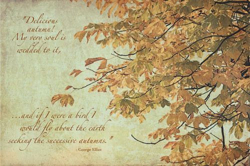 Fall-leaves-text-quote-small-size