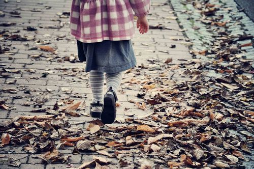 Tess-walk-leaves-web