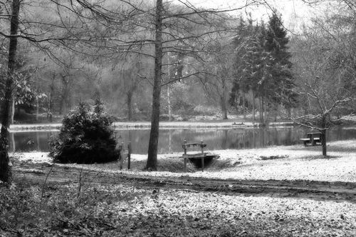 Thanksgvg-walk-pond-bw-web