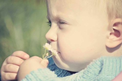 Abbie-daisy-cosmo-web