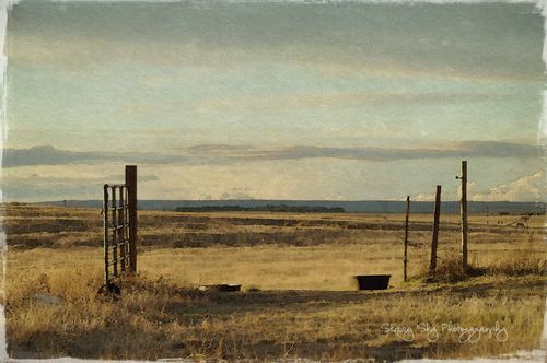 Ranch-gate-watercolor-web