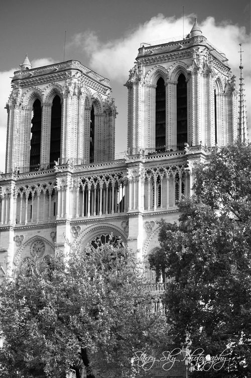 Notre-dame-infared-web