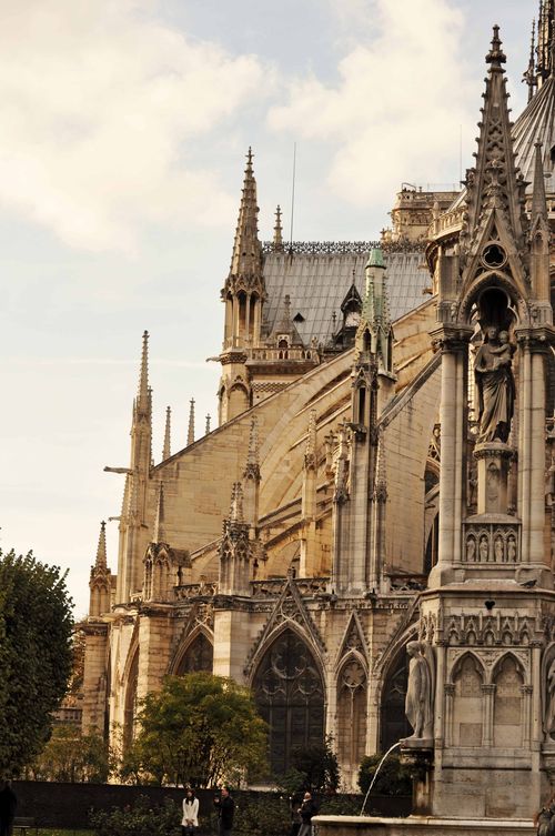 Notre-dame-back-web