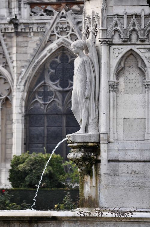 Notre-dame-fountain-web