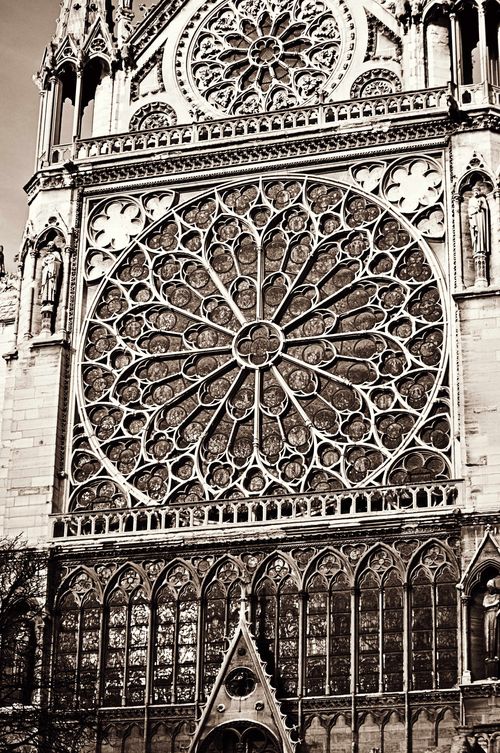 Notre-dame-rose-window-nelly-web