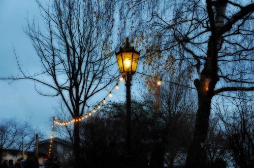 Kusel-wein-lites-web