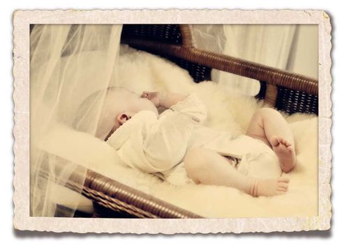 Shriver-cradle-fade-framedweb