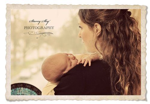 Shriver window frame web