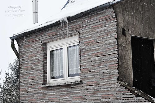 Fockenberg-siding-snow-web