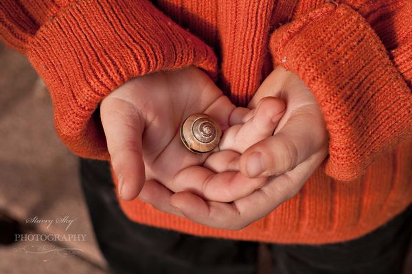 B-snail-shell-orange