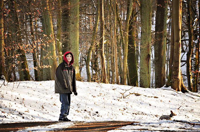 Aidan dog walk long web