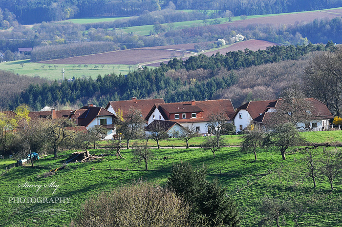  roof and field 
