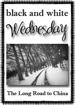 Black and White Wed icon