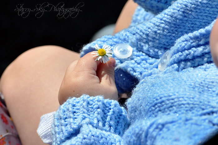 daisy in hand 