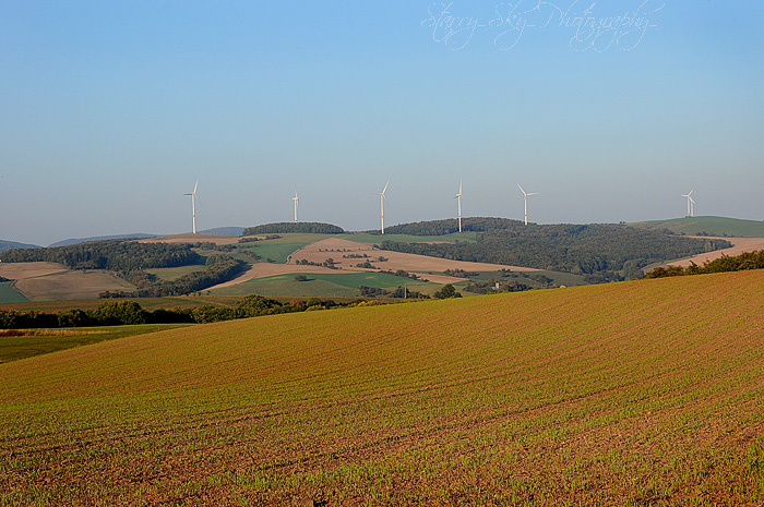  windmill hill 