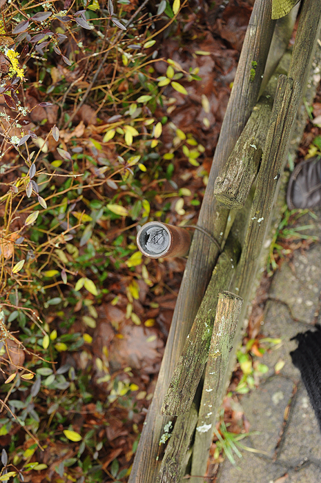Dec 2011 tree pipe reflection web