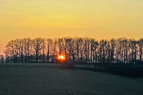 Jan 2012 sunrise 4 web