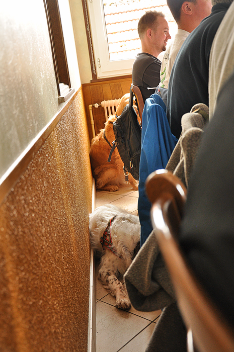 Apr 2012 web Pirmasens Border Hike-41-Edit