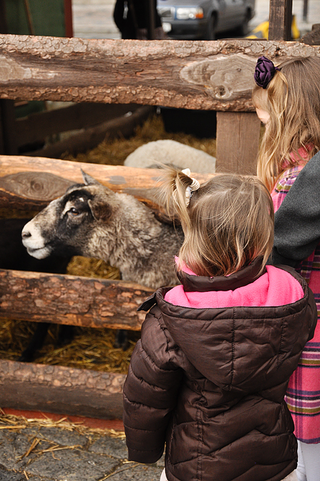 Mar 2012 prague petting zoo 2 web