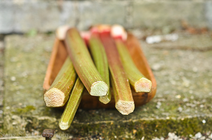 Aug 2012 fresh web-3