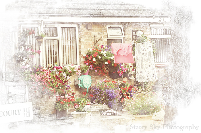 cottage garden sketch 