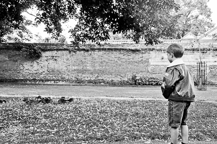 Aug 2012 ducklings web-2