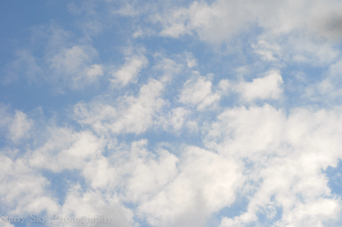  2012 orchard clean 5 web