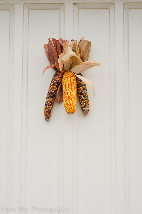 Oct 2012 moira fall 4 web-6