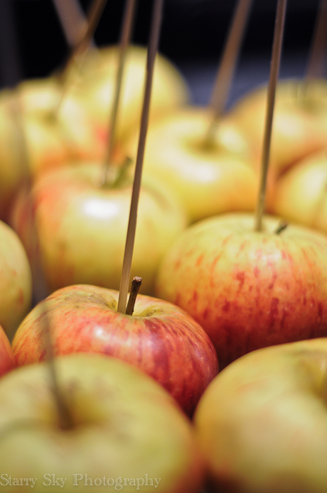 Oct 2012 apples web-4