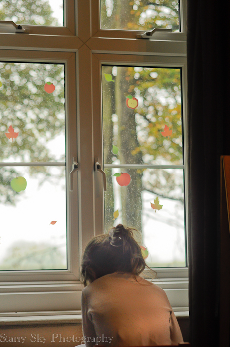 Oct 2012 apples web-6