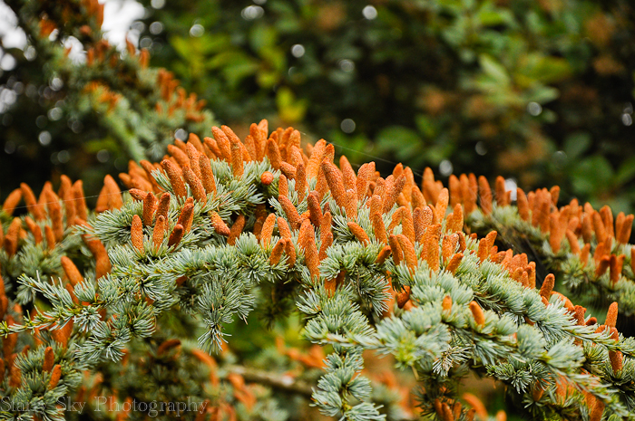 Oct 2012 foggy morning web-8