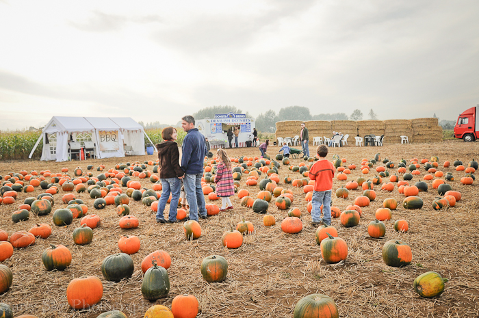 Oct 2012 pumpkin patch 1 web-5
