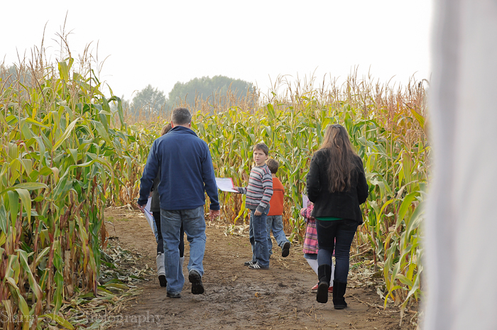 Oct 2012 pumpkin patch 2 web-7