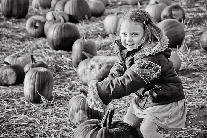 Oct 2012 pumpkin patch 6 web
