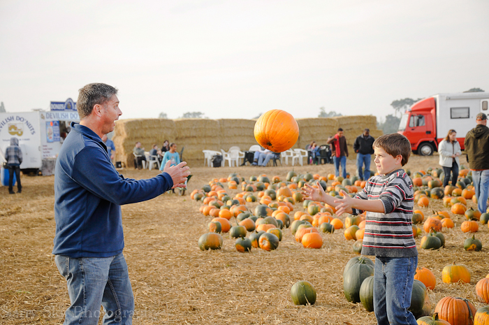 Oct 2012 pumpkin patch 1 web