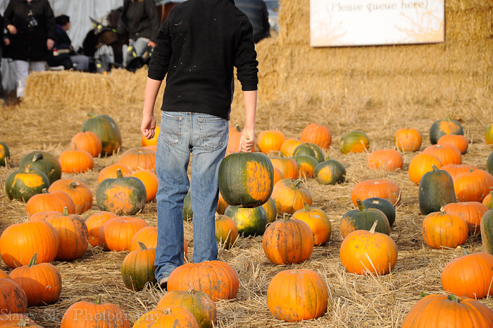Oct 2012 pumpkin patch 7 web