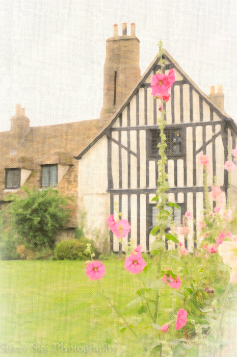 Aug 2012 oliver cromwell house hollyhock paint web