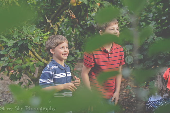  2012 orchard clean web-2