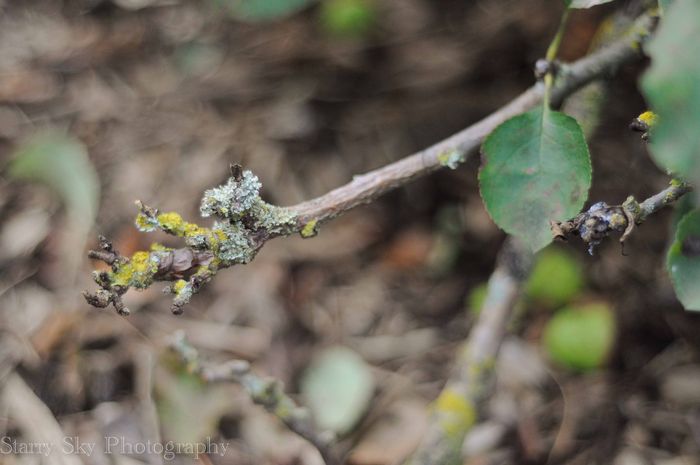 Oct 2012 nature web-2