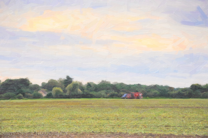 Sept 2012 beet field oil web