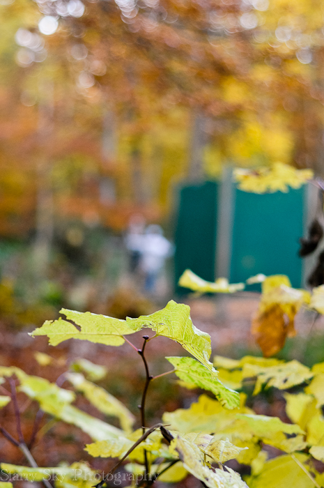 Nov 2012 playground 2 web-6