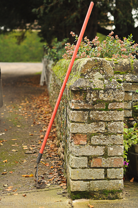 Nov 2012 raking leaves 2 web-2