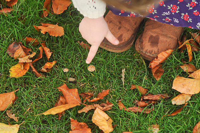 Nov 2012 raking leaves 3 web-2