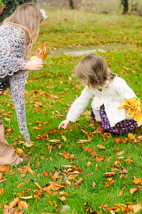Nov 2012 raking leaves 3 web