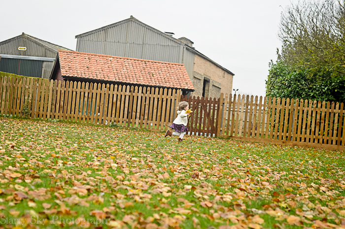 Nov 2012 raking leaves 2 web