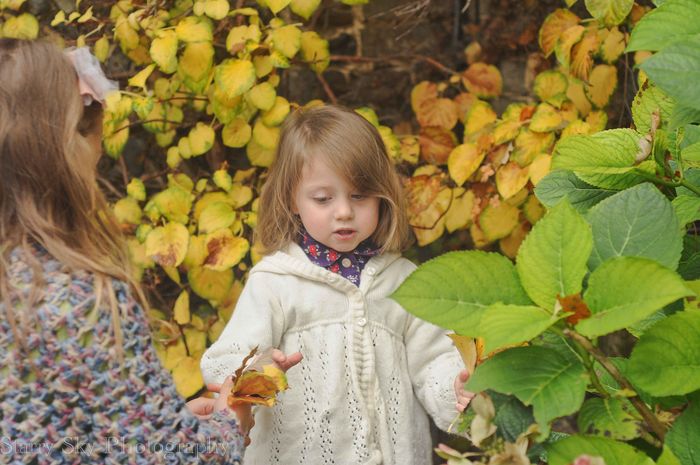 Nov 2012 raking leaves web
