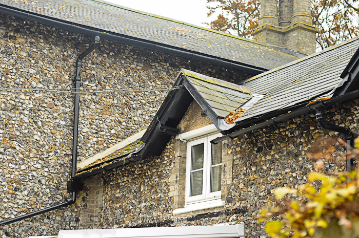 Nov 2012 raking leaves 2 web-3